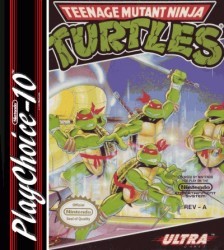 Teenage Mutant Ninja Turtles (PC10) Rom
